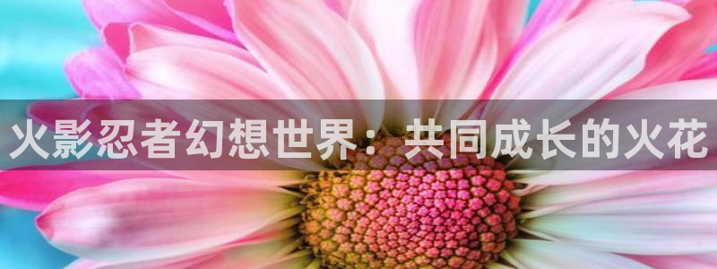 纯洁的轮舞曲在线观看动漫樱花动漫：火影忍者幻想世界：共同成长的火花